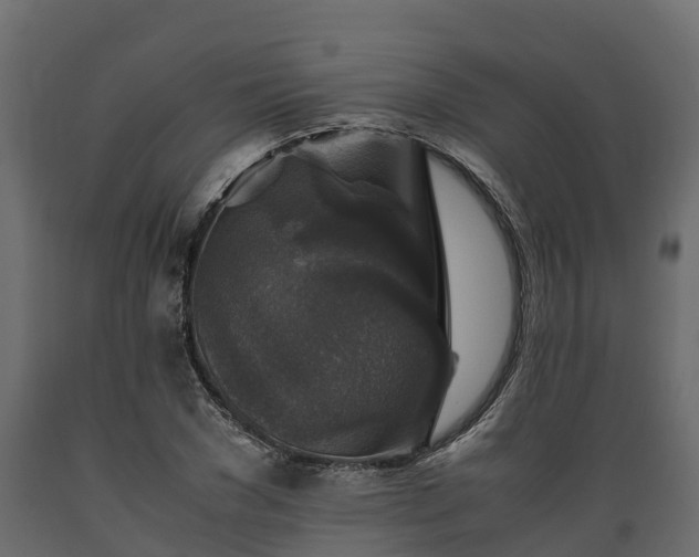 X0000089920977200707061016