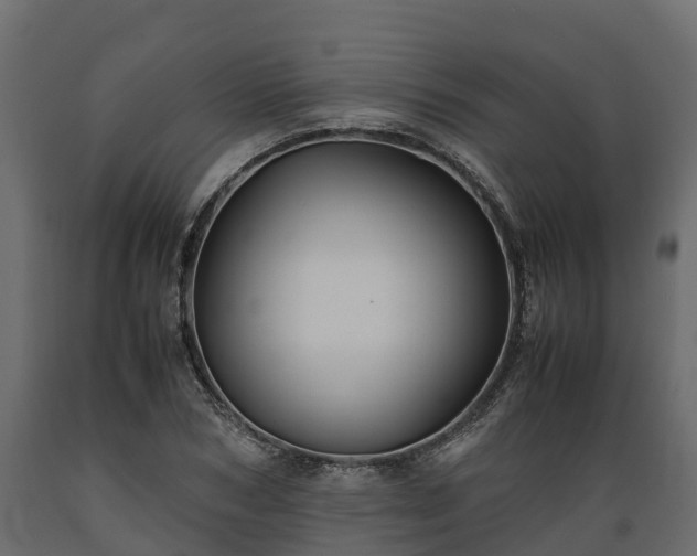 X0000089920978200707061016