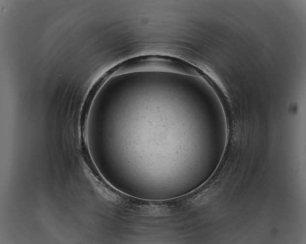 X0000089920980200707061016