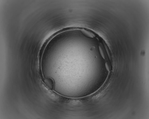 X0000089920982200707061016
