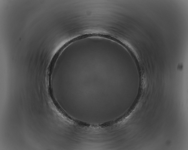 X0000089920983200707061016