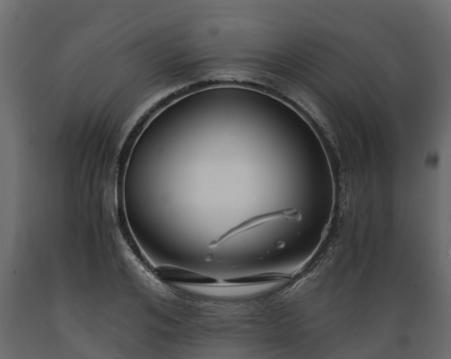 X0000089920984200707061016