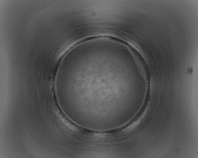 X0000089920985200707061016