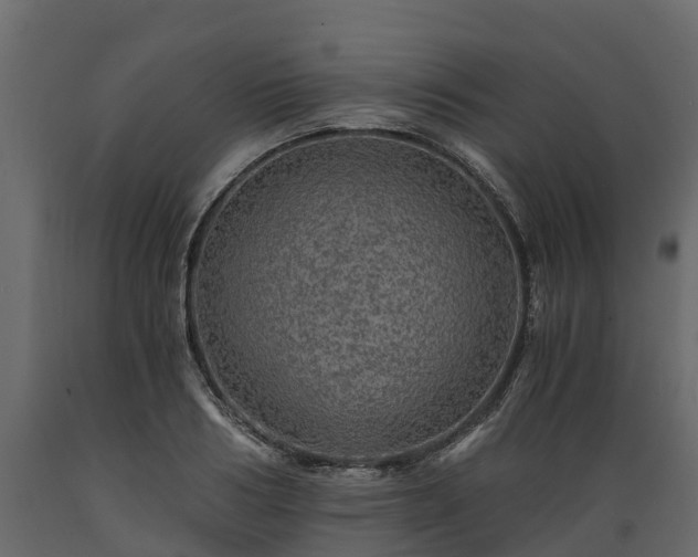 X0000089920986200707061016