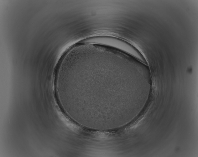 X0000089920987200707061015
