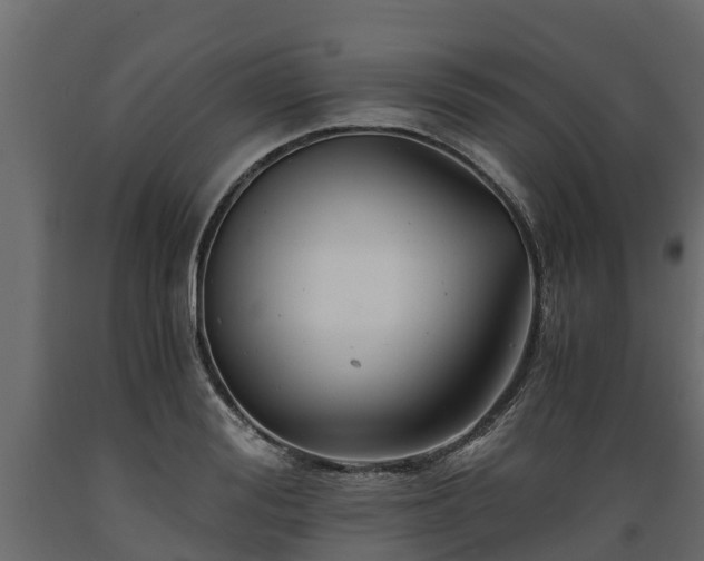 X0000089920988200707061015