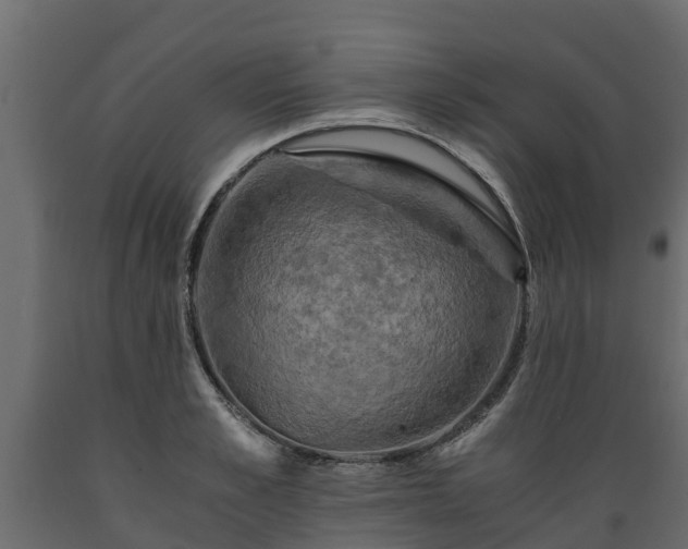 X0000089920989200707061015