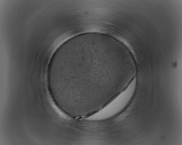 X0000089920991200707061015