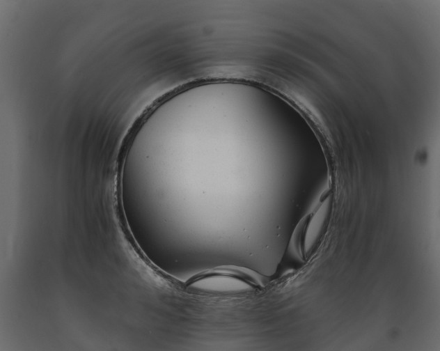 X0000089920992200707061015
