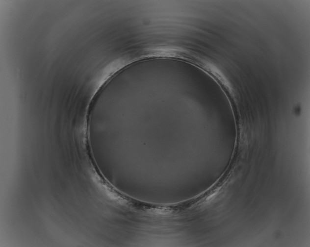 X0000089920994200707061015