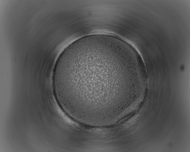 X0000089920995200707061015