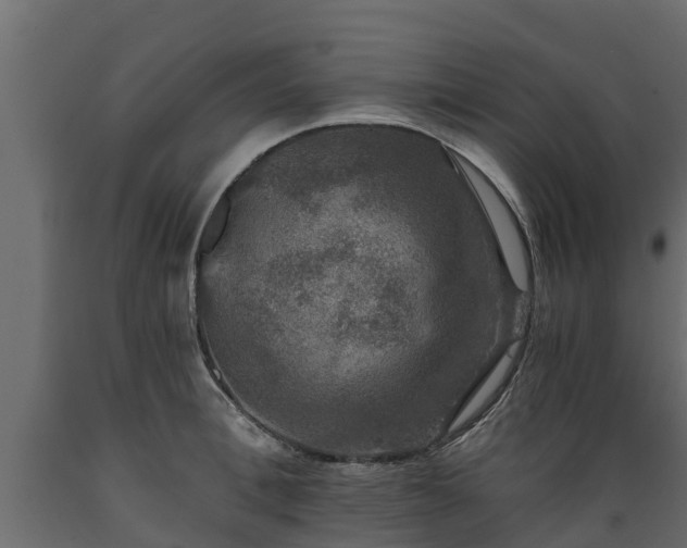 X0000089920996200707061015
