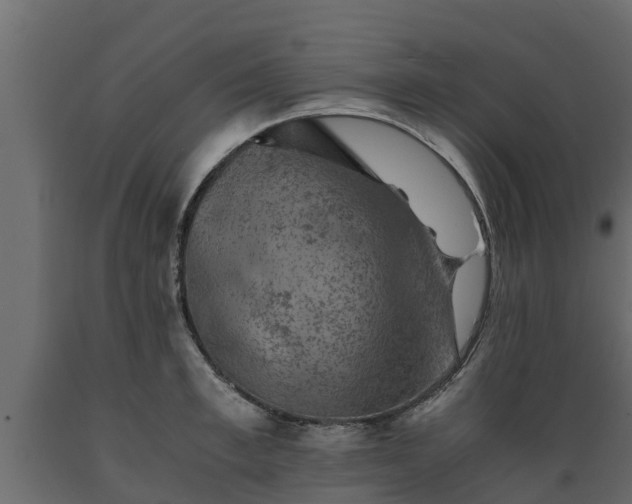 X0000089920997200707061015