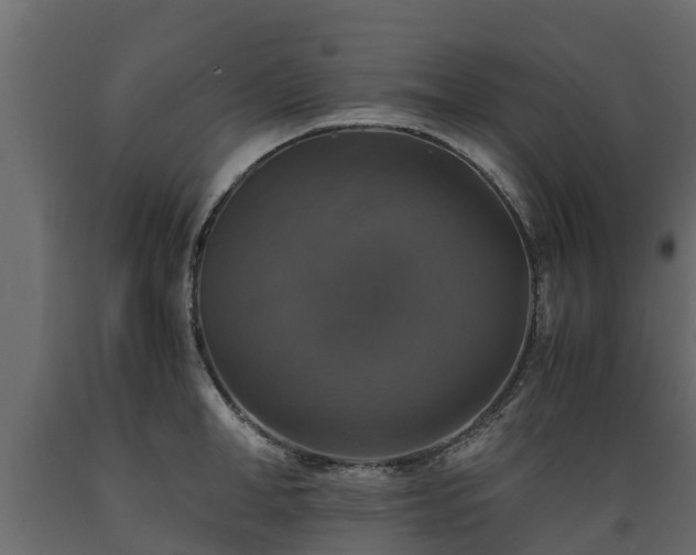X0000089920998200707061015
