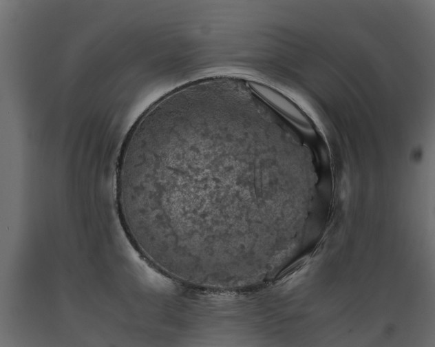 X0000089920999200707061015