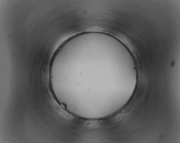 X0000089921000200707061015