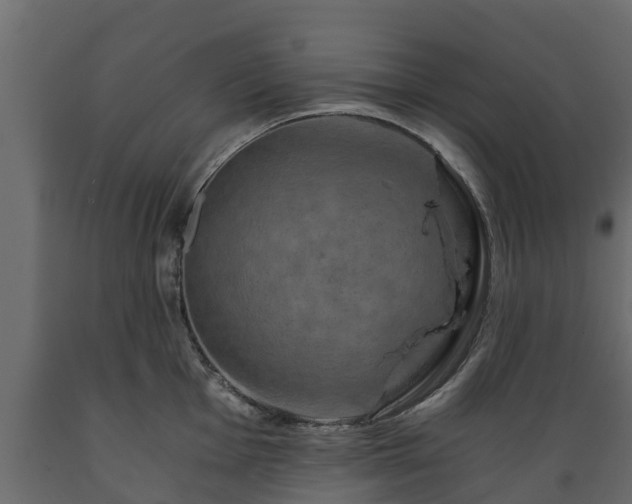 X0000089921001200707061015