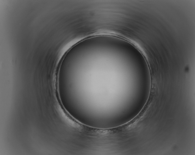 X0000089921003200707061015
