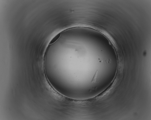 X0000089921004200707061015