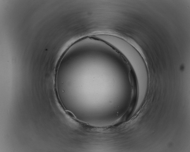 X0000089921005200707061015