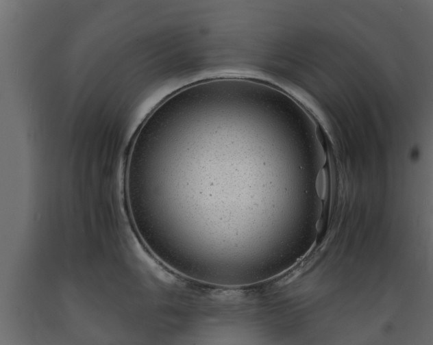 X0000089921006200707061015