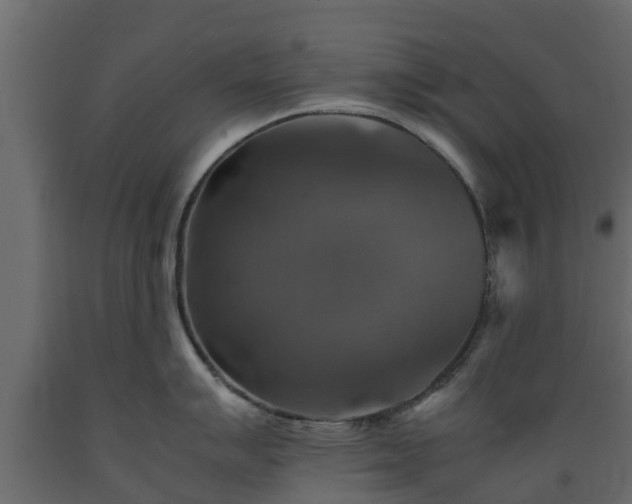 X0000089921007200707061015