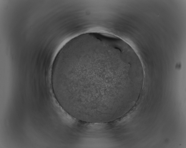 X0000089921008200707061015