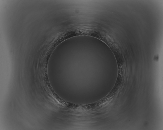 X0000089921009200707061014