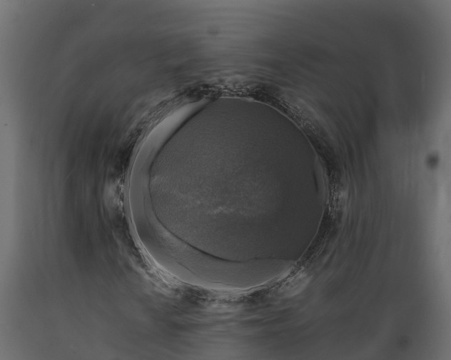X0000089921010200707061014