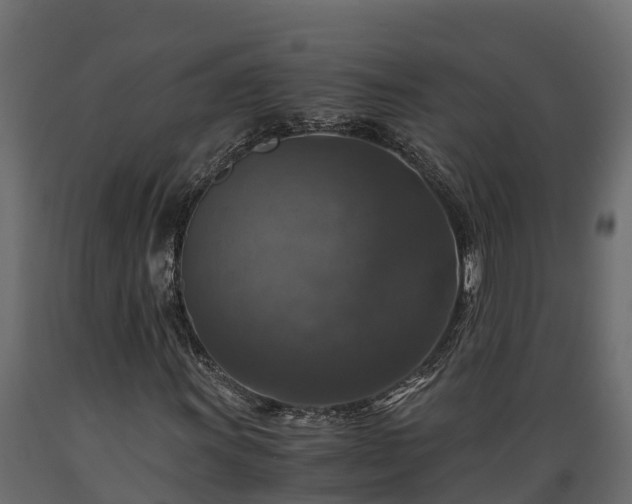 X0000089921011200707061014