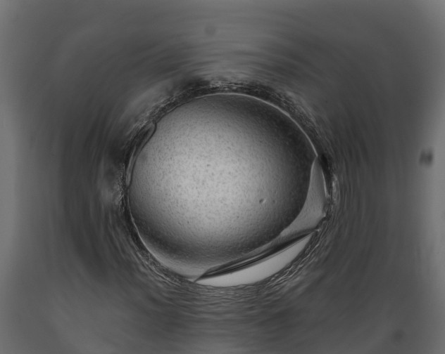 X0000089921012200707061014