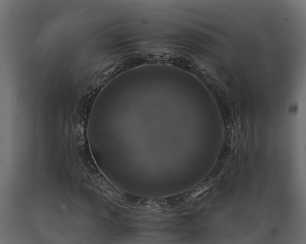 X0000089921013200707061015