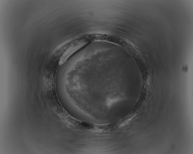 X0000089921014200707061015
