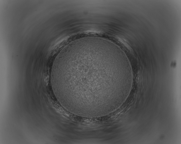 X0000089921015200707061015