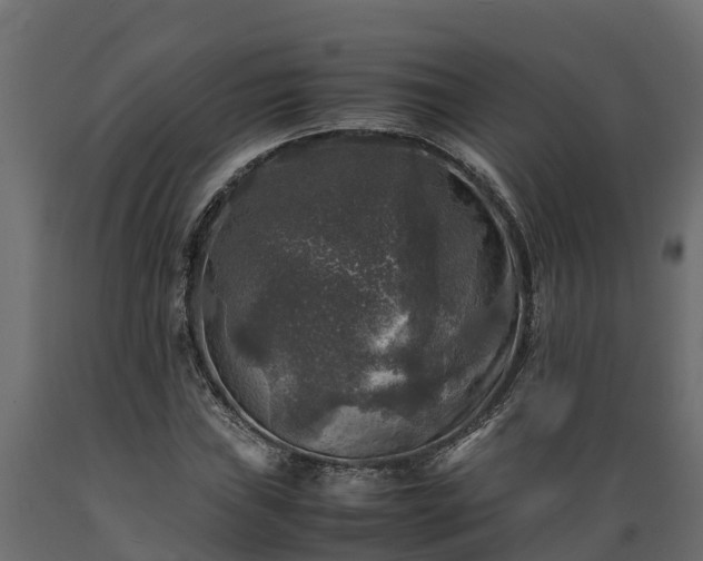 X0000089921019200707061015