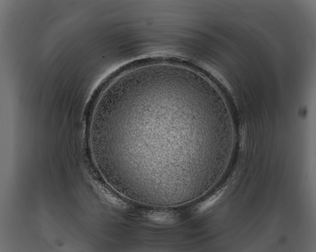 X0000089921021200707061015