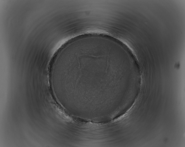 X0000089921022200707061015