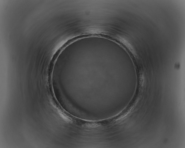 X0000089921023200707061015