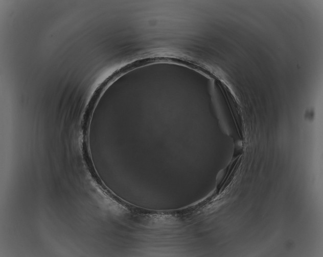 X0000089921024200707061015