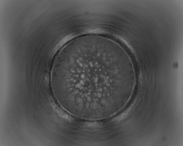 X0000089921025200707061015