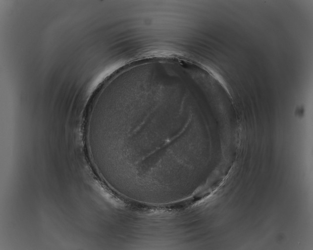 X0000089921026200707061015