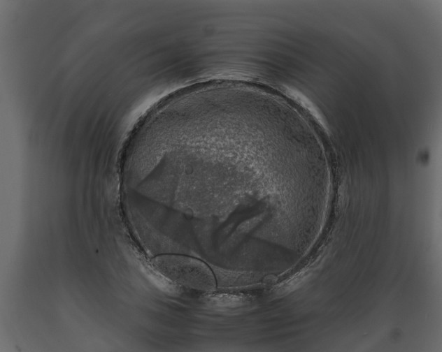 X0000089921027200707061015