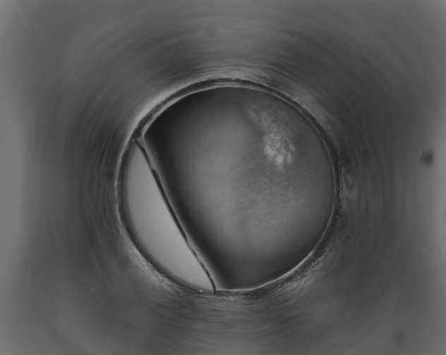 X0000089921028200707061015