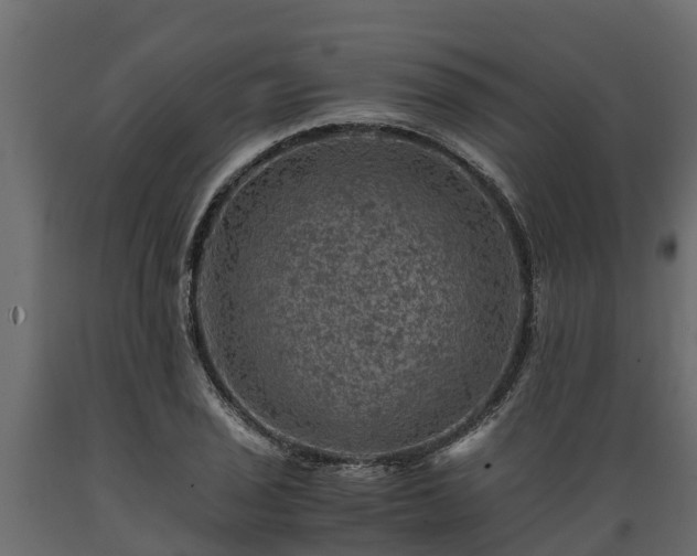X0000089921029200707061015