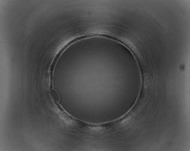 X0000089921031200707061015