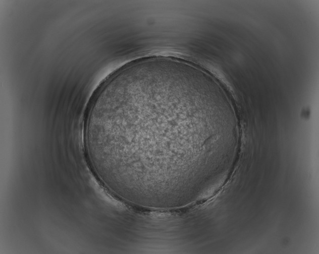 X0000089921032200707061015