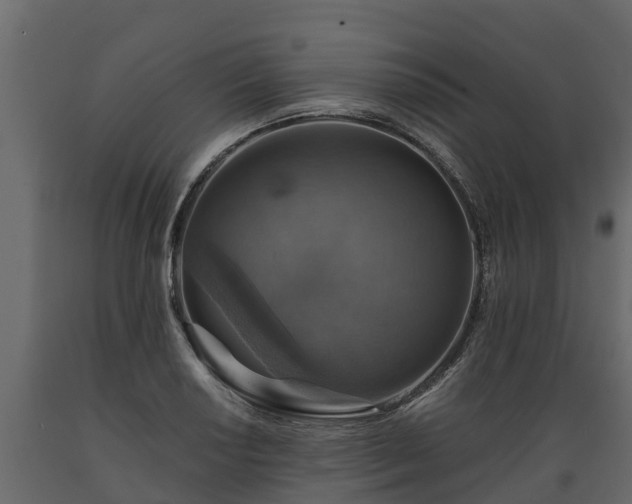 X0000089921034200707061015