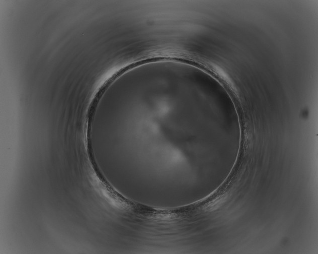 X0000089921035200707061015