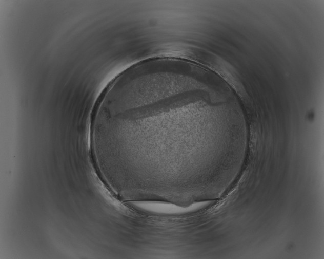 X0000089921036200707061015