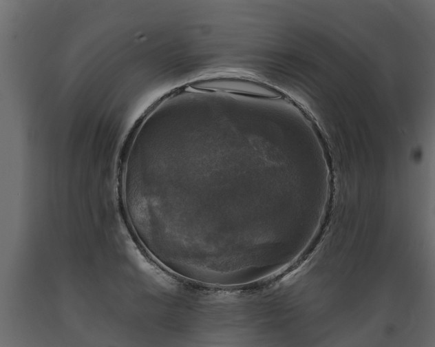 X0000089921038200707061015